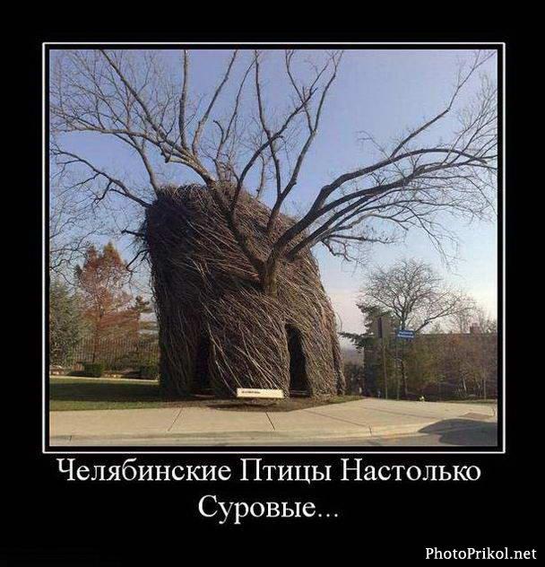 ыы.JPG