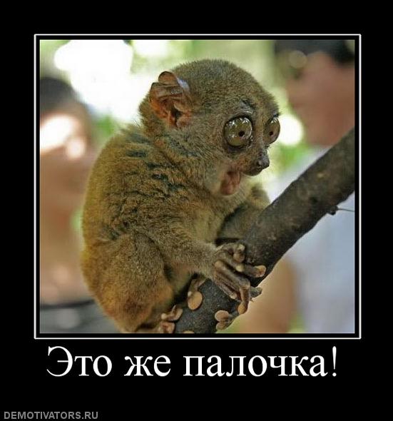 584017_eto-zhe-palochka.jpg