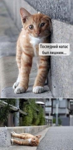x_1fb15ce8.jpg